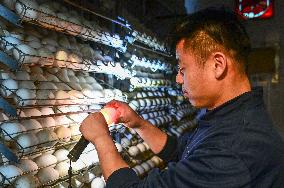 Goose Industry