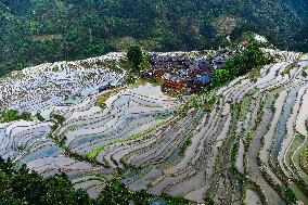 Terraced fields in China