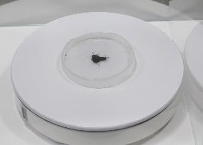 China Space Science Popularization Exhibition Lunar Soil Sample