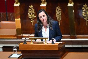 France s Energy Sovereignty Debate - Paris