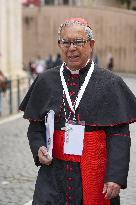 Delegation of Cardinals at Fifth General Congregation - Vatican