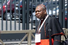 Delegation of Cardinals at Fifth General Congregation - Vatican