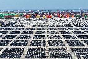 Vehicles Export in Nanjing Port