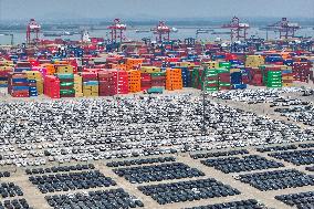 Vehicles Export in Nanjing Port
