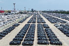 Vehicles Export in Nanjing Port