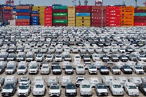 Vehicles Export in Nanjing Port