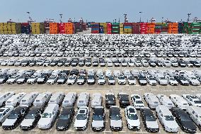 Vehicles Export in Nanjing Port