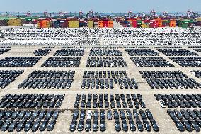 Vehicles Export in Nanjing Port
