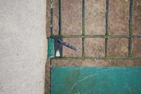 Woman Injured Husband Found Dead Throat Slit - Nantes
