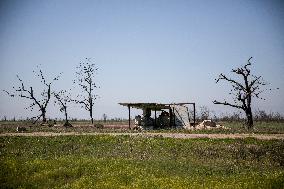 Aftermath of Russian occupation of Maksymivka village in Mykolaiv region