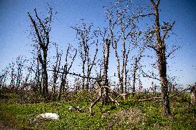 Aftermath of Russian occupation of Maksymivka village in Mykolaiv region