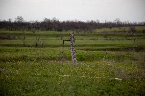 Aftermath of Russian occupation of Maksymivka village in Mykolaiv region