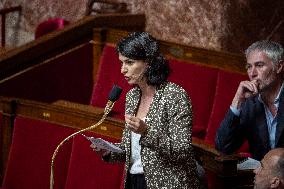 Questions to the government at the French National Assembly - Paris