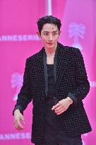 Pink Carpet at 8th Canneseries International Festival - Cannes