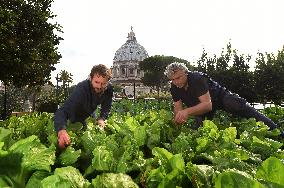 Behind The Scenes Of The Vatican