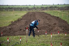 Demining in Mykolaiv region