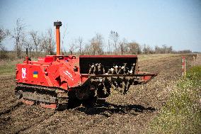 Demining in Mykolaiv region