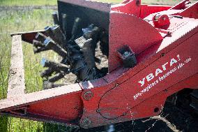 Demining in Mykolaiv region