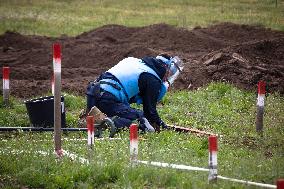 Demining in Mykolaiv region