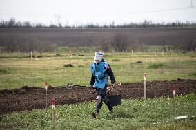Demining in Mykolaiv region