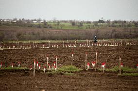 Demining in Mykolaiv region