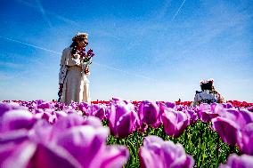Tourists Visit Tulip Fields - Netherlands