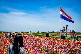 Tourists Visit Tulip Fields - Netherlands