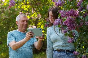 Lilacs bloom at Kyiv's Hryshko Botanical Garden