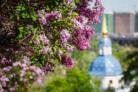 Lilacs bloom at Kyiv's Hryshko Botanical Garden