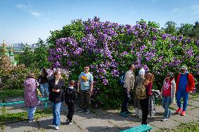 Lilacs bloom at Kyiv's Hryshko Botanical Garden