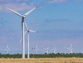 Wind Farm In  Zaragoza - Spain