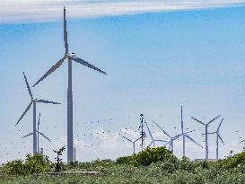 Wind Farm In  Zaragoza - Spain