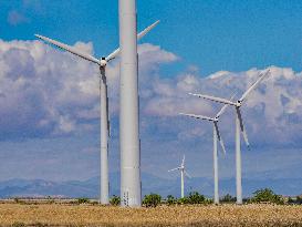 Wind Farm In  Zaragoza - Spain