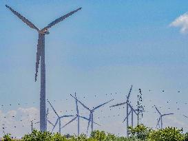 Wind Farm In  Zaragoza - Spain
