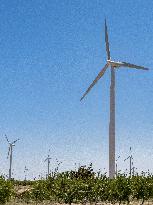 Wind Farm In  Zaragoza - Spain