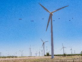 Wind Farm In  Zaragoza - Spain