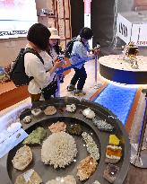 World Exposition in Osaka