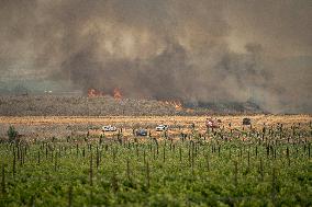 Wildfires Rage Outside Jerusalem - Israel