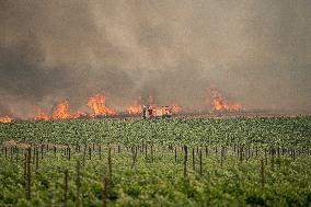 Wildfires Rage Outside Jerusalem - Israel