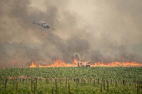 Wildfires Rage Outside Jerusalem - Israel