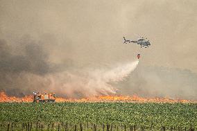 Wildfires Rage Outside Jerusalem - Israel