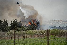 Wildfires Rage Outside Jerusalem - Israel