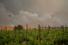 Wildfires Rage Outside Jerusalem - Israel