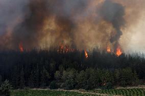 Wildfires Rage Outside Jerusalem - Israel