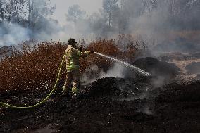 Wildfires Rage Outside Jerusalem - Israel