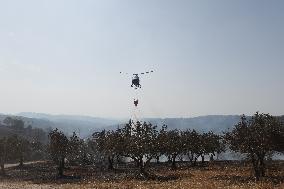 Wildfires Rage Outside Jerusalem - Israel