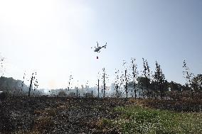 Wildfires Rage Outside Jerusalem - Israel
