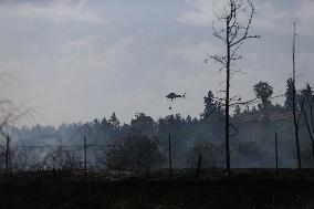Wildfires Rage Outside Jerusalem - Israel