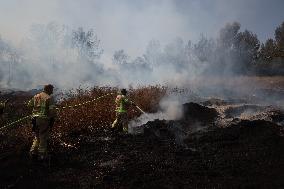 Wildfires Rage Outside Jerusalem - Israel