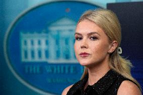 White House press briefing - Washington